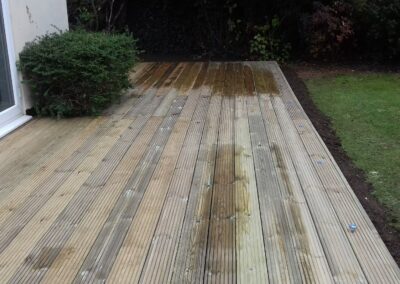 just the garden gallery 49